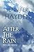 After the Rain (The Callahans) by Jennifer Hayden (2013-01-31)