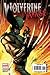 Wolverine Savage One-Shot