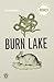 Burn Lake (National Poetry) by Carrie Fountain (2010-07-13)