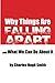 Why Things Are Falling Apart and What We Can Do About It by Charles Hugh Smith (2012-11-08)