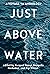 Just Above Water: A YA Anth...