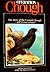 Operation Chough: The story of the Cornish Chough -- will it ever return?
