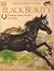 Black Beauty by Caryn Jenner