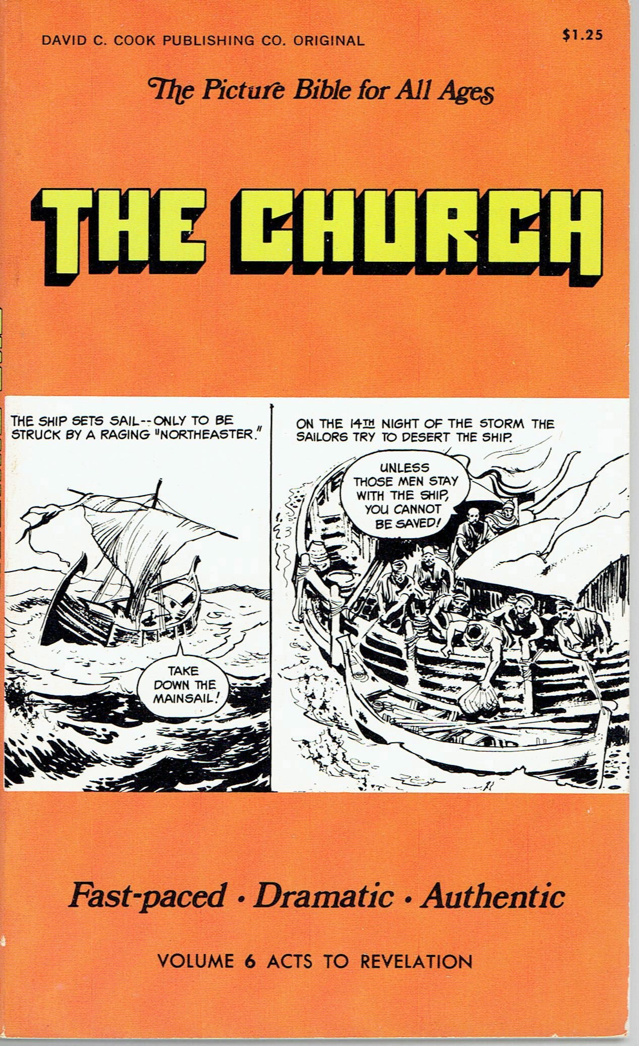The Church: Acts-revelation (Picture Bible for All Ages, Vol. 6)