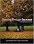 Thinking Through Grammar by Arthur Whimbey Myra J. Linden Brad Frieswyk (2004-03-01) Paperback