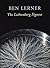 [(The Lichtenberg Figures)] [Author: Dr Ben Lerner] published on (September, 2004)