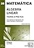 Álgebra Linear Teoria e Prá...