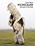 Wilder Mann by (October 16, 2012) Hardcover