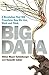 Big Data: A Revolution That Will Transform How We Live, Work and Think by Viktor Mayer-Schonberger (2013-03-14)