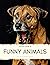 Picture Book of Funny Anima...