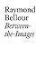 Between the Images (Documents (JRP/Ringier)) by Raymond Bellour (2013-01-31)