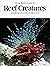 Ocean Realm Guide to Reef C...