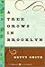 A Tree Grows in Brooklyn 1st (first) edition Text Only