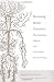 Becoming Beside Ourselves: The Alphabet, Ghosts, and Distributed Human Being by Rotman, Brian (2008) Paperback