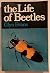Life of Beetles