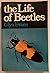 Life of Beetles