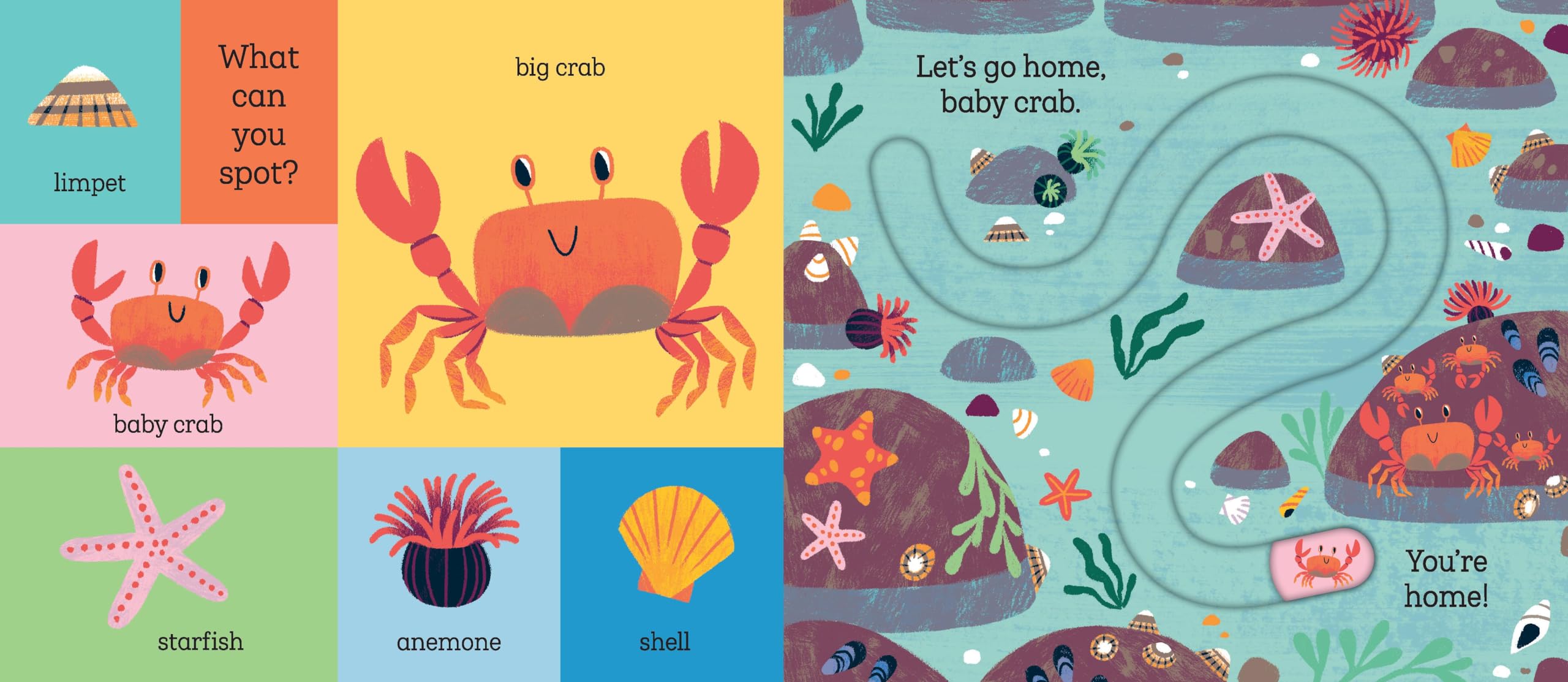 Let's Go Home, Baby Shark (Board Book)