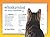 whiskerslist: the kitty cla...