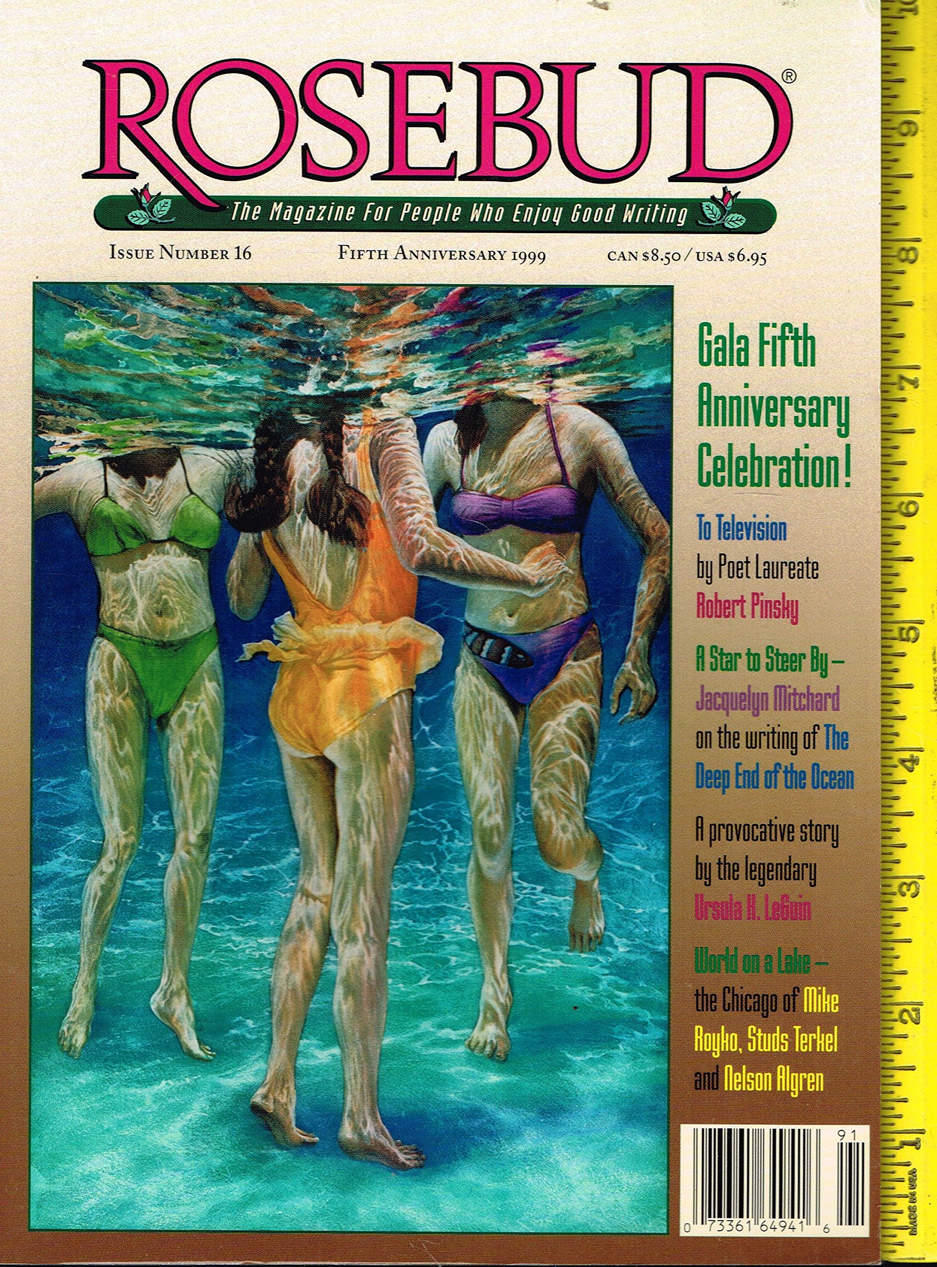 Rosebud - The Magazine for People Who Enjoy Good Writing, Issue Number 16 (Paperback)