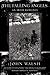 The falling angels: an Irish romance / John Walsh