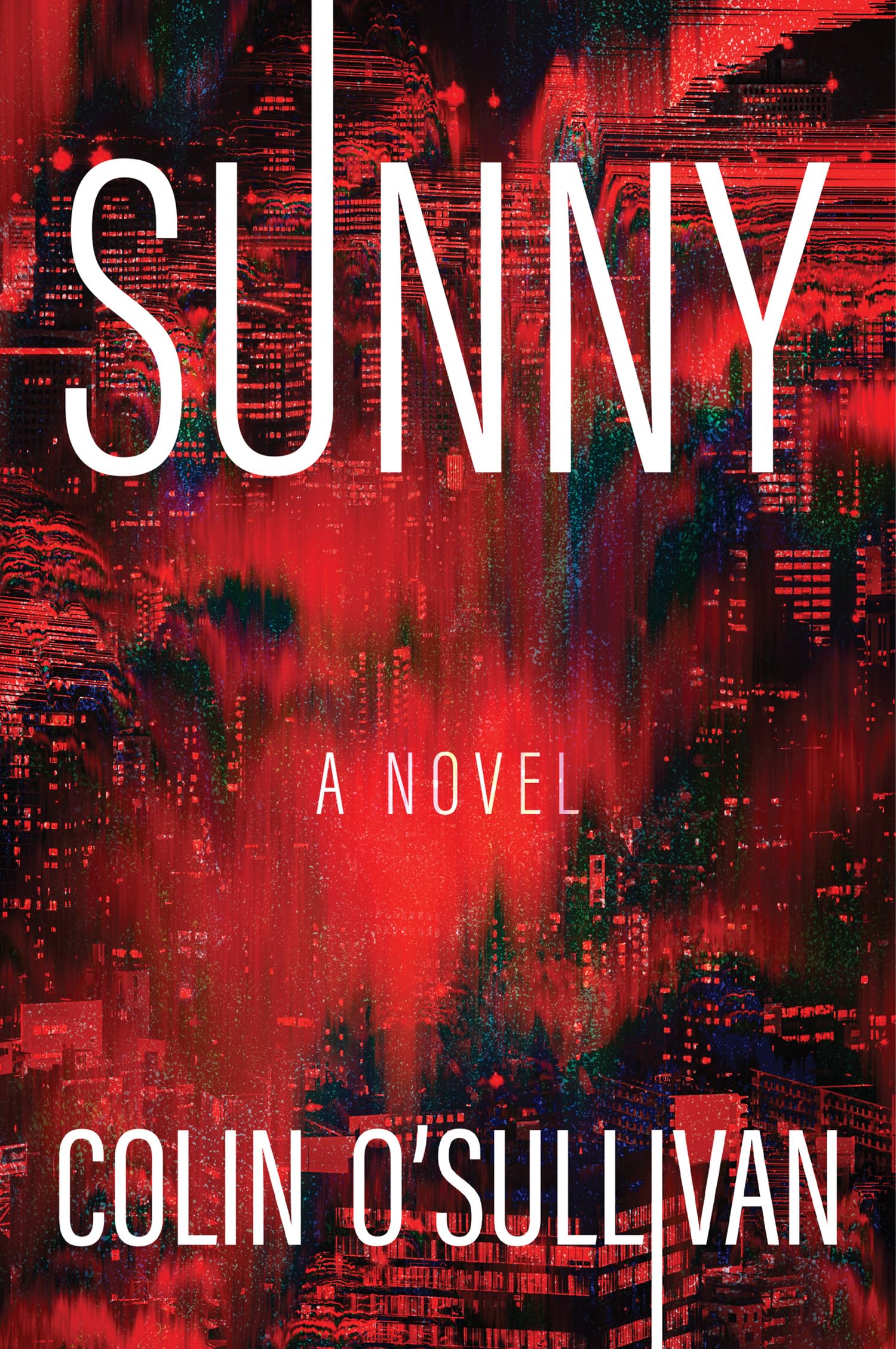 Sunny (Paperback)