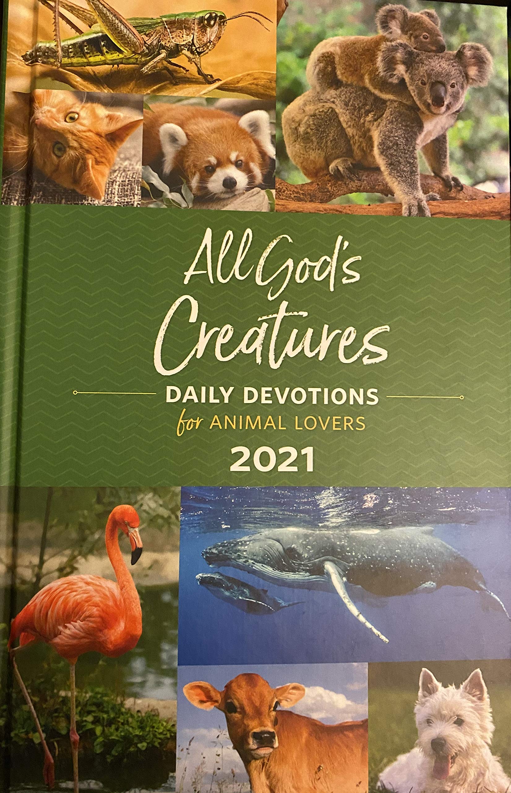 All God's Creatures 2021 (Hardcover)