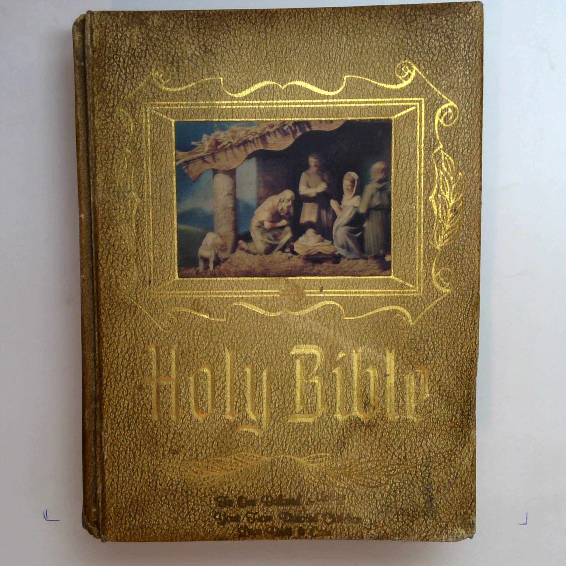 The New American Bible 1971-1972 Edition