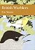British Warblers: Book 71 (Collins New Naturalist Library)