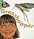 Grasshopper (Bug Books)