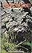 Crocodile (Collins English ...