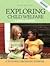 Exploring Child Welfare A Practice Perspective (Hardcover, 2008) 5th EDITION