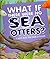 What If There Were No Sea Otters?