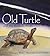 Old Turtle And The Broken Truth by Douglas Wood by Douglas Wood