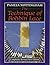 Technique of Bobbin Lace by Pamela Nottingham (1995-11-03)