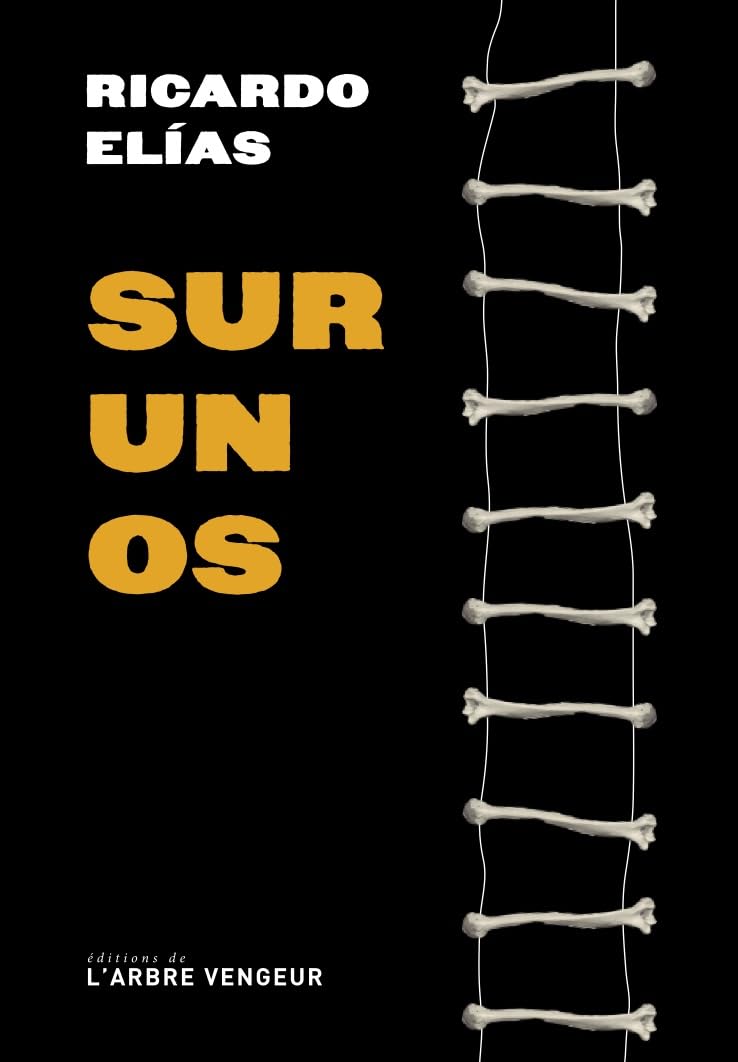 Sur un os (Paperback)