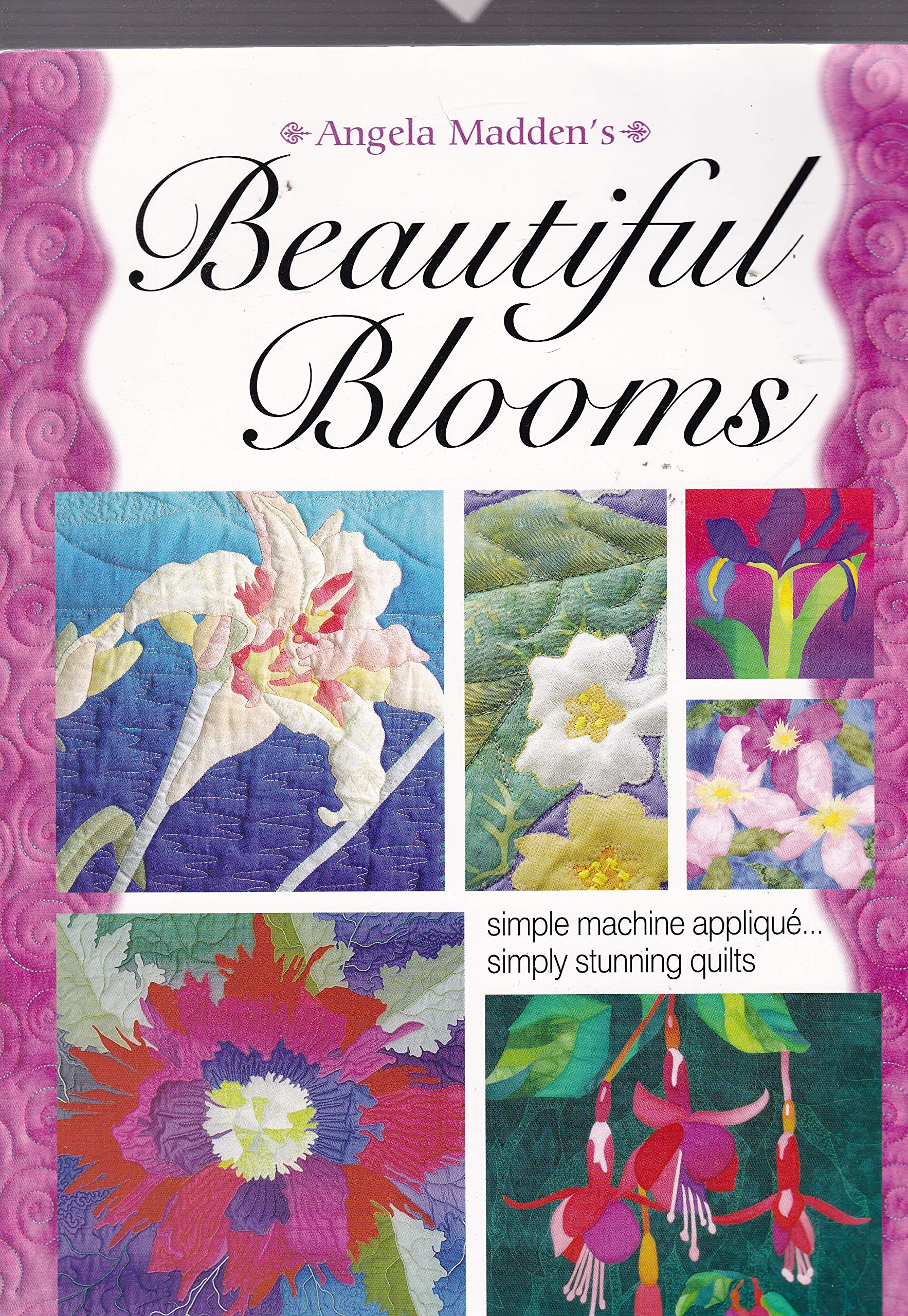 Beautiful Blooms (Paperback)