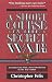 A Short Course in the Secret War by Christopher Felix (1992-03-12)