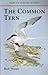 The common tern (Philip's Species Guides)