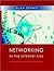 Networking in the Internet Age by Alan Dennis (2002-04-26)