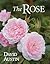 The Rose by David Austin 2n...
