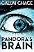 Pandora's Brain by Calum Chace (2014-02-04)