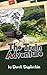 The Train Adventure by Derek Duplechin (2015-12-14)