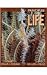 Principles of Life (Loose L...