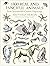 1300 Real and Fanciful Animals: From Seventeenth-Century Engravings (Dover Pictorial Archive) by Matthäus (the Younger) Merian (28-Mar-2003) Paperback
