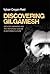 [Discovering Gilgamesh: Geology, Narrative and the Historical Sublime in Victorian Culture] [Author: Vybarr Cregan-Reid] [October, 2013]