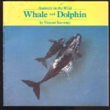 Whale and Dolphin (Animals in the Wild Series)
