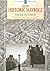 Historic Maybole: Archaeolo...