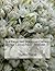 Far From the Madding Crowd: Extra Large Print (Volume 1) by Thomas Hardy (2015-04-15)