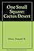 Cactus Desert (One Small Square) by Donald M. Silver (1995-05-03)