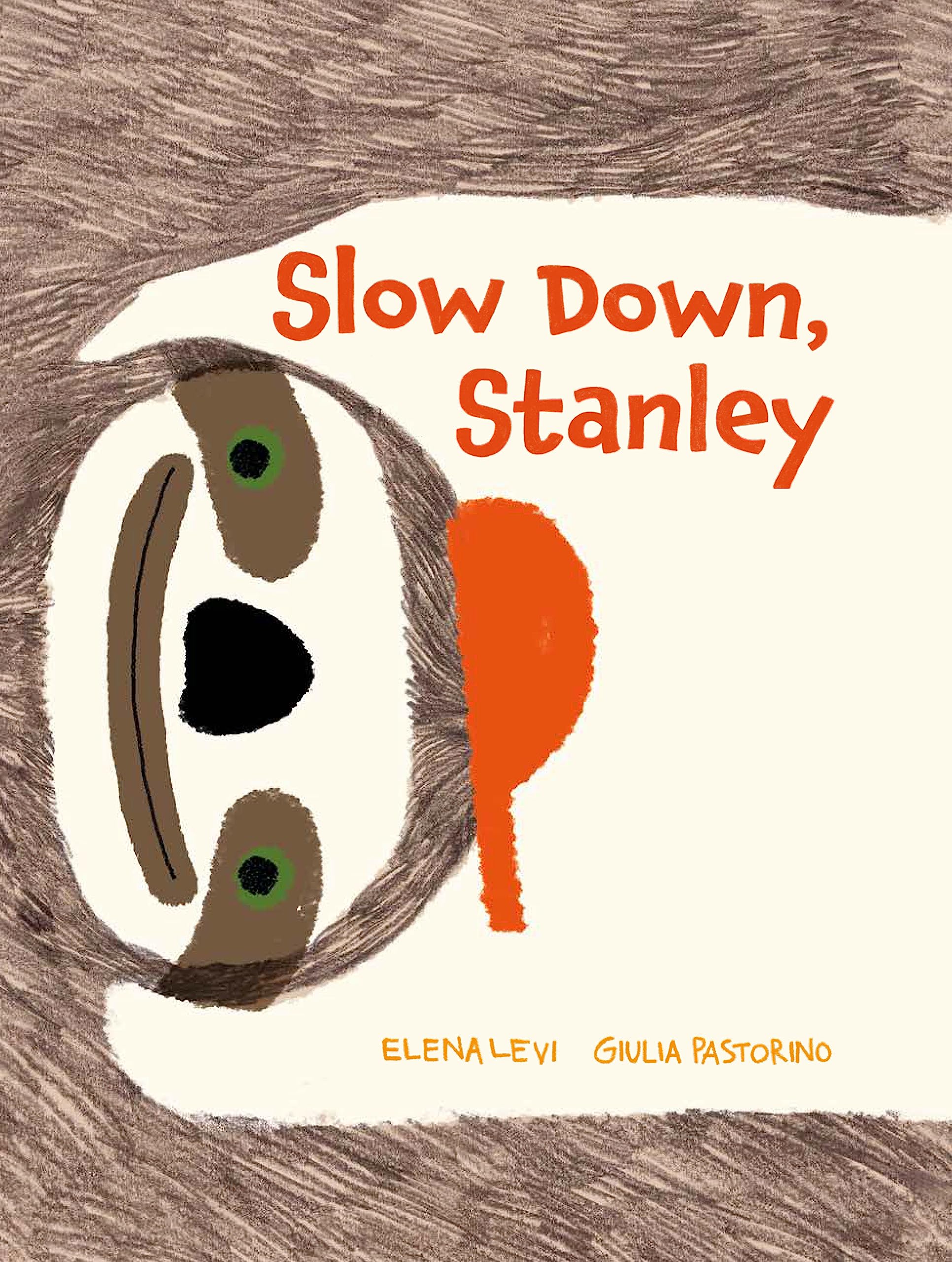 Slow Down, Stanley (Hardcover)